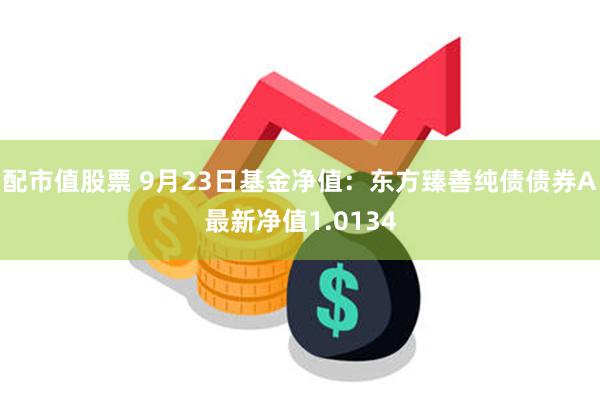 配市值股票 9月23日基金净值：东方臻善纯债债券A最新净值1.0134