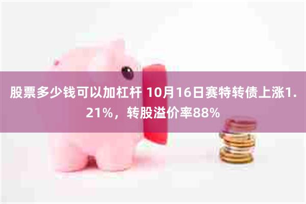 股票多少钱可以加杠杆 10月16日赛特转债上涨1.21%，转股溢价率88%