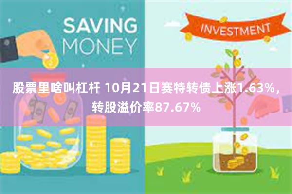 股票里啥叫杠杆 10月21日赛特转债上涨1.63%，转股溢价率87.67%