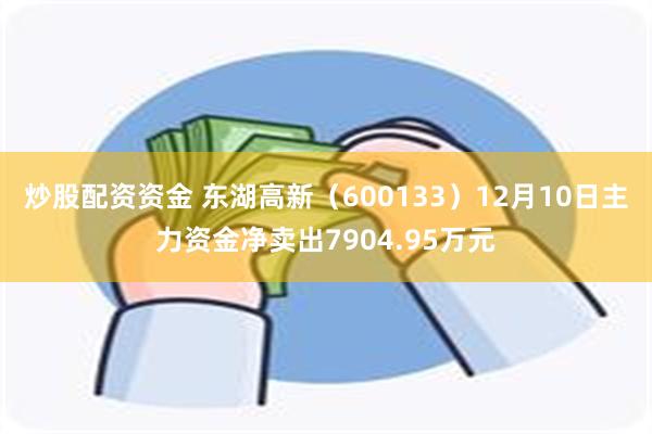 炒股配资资金 东湖高新（600133）12月10日主力资金净卖出7904.95万元