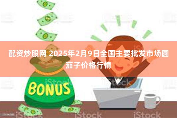 配资炒股网 2025年2月9日全国主要批发市场圆茄子价格行情