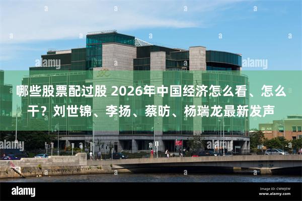 哪些股票配过股 2026年中国经济怎么看、怎么干？刘世锦、李扬、蔡昉、杨瑞龙最新发声